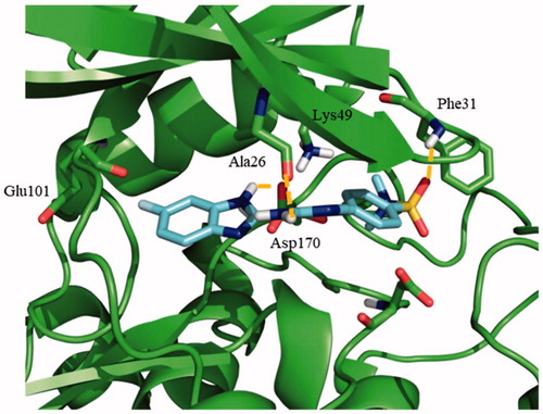 Figure 5. Proposed binding mode for the active benzoimidazole 71 into modelled LmjGSK-3 showing the main interactions found in the complex.