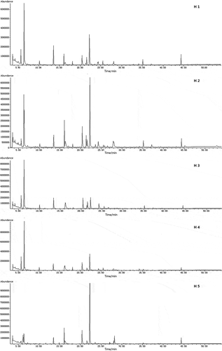 Figure 1. TIC profiles for five honey samples fractionated by SPME using DVB/CAR/PDMS fiber coating.