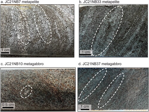 Figure 3. Close-up of drill-core samples used in this study. (a) JC21NB7; (b) JC21NB10; (c) JC21NB33; and (d) JC21NB37. Melt inclusions are highlighted in dashed lines.