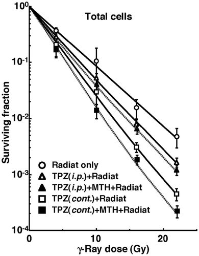 Figure 1. Cell survival curves for the total cell population from B16-BL6 tumours irradiated with γ-rays following the single intraperitoneal (i.p.) or continuous subcutaneous (cont.) administration of tirapazamine (TPZ) in combination with mild temperature hyperthermia (MTH) on day 18 after tumour cell inoculation. ○ γ-ray irradiation only; Δ γ-ray irradiation after single intraperitoneal administration of TPZ; ▴ γ-ray irradiation after single intraperitoneal administration of TPZ with MTH; □ γ-ray irradiation after continuous subcutaneous administration of TPZ; ▪ γ-ray irradiation after continuous subcutaneous administration of TPZ with MTH. Bars represent standard errors (n = 9).
