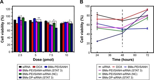 Figure 6 Cell viability assay of siRNA, DOX, BMs-PEI/SANH, BMs-PEI/SANH-siRNA (STAT 3), BMs-PEI/SANH-siRNA (NC), and BMs/DP/siRNA (STAT 3) on the growth of HeLa cells (105 cells/well).Note: The effects of (A) contents and (B) treatment times of siRNA, DOX, BMs-PEI/SANH, BMs-PEI/SANH-siRNA (STAT 3), BMs-PEI/SANH-siRNA (NC), and BMs/DP/siRNA (STAT 3) on the growth of HeLa cells (*P<0.05; **P<0.01).Abbreviations: BMs, bacterial magnetosomes; DOX, doxorubicin; DP, DOX–PEI; PEI, polyethyleneimine; NC, negative control; SANH, succinimidyl 6-hydrazinonicotinate acetone hydrazine.