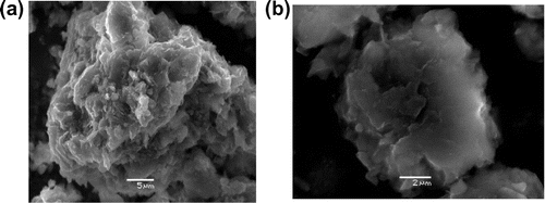 Figure 2. SEM images of the silt (a) Mag 3000 (b) Mag 8000.