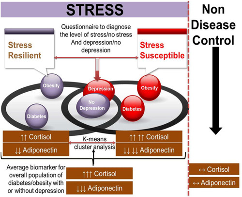 Figure 1 The figure represents study rationale. The figure also depicts how biochemical parameters (cortisol and adiponectin) are associated with stress including both stress resilient and susceptible populations. (↑↑ – mild increment; ↑↑↑ – moderate increment; ↑↑↑↑ – high increment; ↓↓ – mild reduction; ↓↓↓ – moderate reduction; ↓↓↓↓ – high reduction; ↔ – no change).