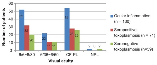 Figure 1 Visual acuity of affected eye at presentation.