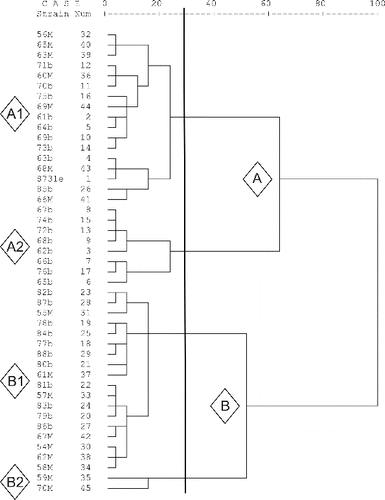 Figure 5. Distribution of the X. euvesicatoria strains according to the similarity of their Biolog metabolic profiles.
