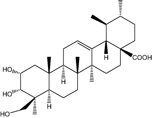 Figure 1. Structure of TEO (2α,-3α,-24-trihydroxyurs-12-en-28-oic acid).