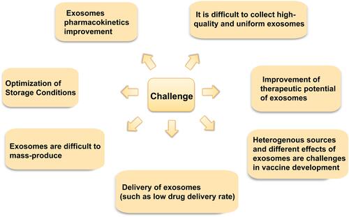 Figure 5 Challenges in the application of exosomes in the diagnosis and treatment of oral cancer.
