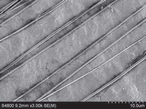 Figure 6. SEM of nanofibers from PLGA-SF NCs prepared at a throw distance of 15 cm and rotational velocity of 1500 r/min. The nanofibers show an orderly alignment and good orientation.