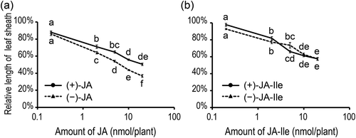 Figure 2. Inhibitory effects of jasmonic acid (JA) and jasmonoyl-l-isoleucine (JA-Ile) on the growth of the second leaf sheath of rice seedlings (Oryza sativa L. “Nihonmasari”).Rice seedlings (5-day old) were treated with 0, 0.2, 2, 5, 10, or 20 nmol of JA (a) or JA-Ile (b). After 4-day incubation, the lengths of the second leaf sheaths were measured. Values indicate the relative length of the second leaf sheath of rice seedlings treated with each isomer of JA (a) or JA-Ile (b) (n = 5 or 6). Values are normalized to the length of the second leaf sheath of rice seedlings without JA or JA-Ile treatment. Bars indicate standard errors of the means. Statistically different data groups are indicated by different letters (P < 0.05 by one-way ANOVA with a Tukey-Kramer’s post hoc test).