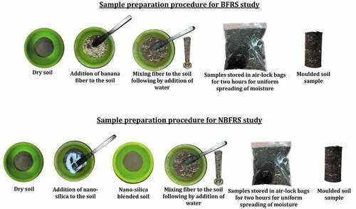 Figure 1. Schematic representation of sample preparation.