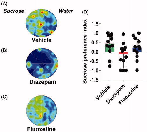 Figure 6. Acute treatment with diazepam or fluoxetine did not revert the anhedonia induced by SVS protocol in flies. Representative occupancy plots in a sucrose preference test of vehicle (A), diazepam (B) and fluoxetine (C) treated flies, in the water (right half) or sucrose (left half) spots in an arena. (D) Sucrose preference index of stressed flies treated with vehicle, diazepam or fluoxetine. One-way ANOVA. N = 12 in all groups. Bars, median + IQR.