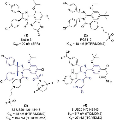 Figure 1. Structure and in vitro activity of exemplary MDM2 inhibitors based on a 5 membered ring: cis-imidazoline scaffold. The IC50 value for nutlin 3 was is from [Citation21] and for RG-7112 from [Citation24].
