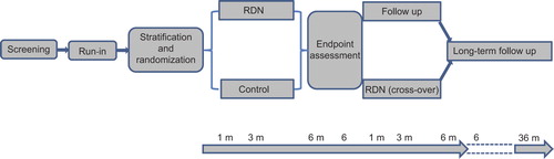 Figure 1. Schematic representation of the INSPiRED trial. During the run-in period, antihypertensive drug treatment is optimized and secondary hypertension is excluded. Patients are randomized to renal denervation (RDN) or control. After randomization, optimized drug treatment is continued in both treatment arms, but can be adjusted according to the achieved blood pressure level. After assessment of the endpoints at 6 months, control patients can cross over to renal denervation. Follow-up visits are scheduled at 1, 3 and 6 months after randomization and at 1, 3 and 6 months after renal denervation in control patients crossing over with a visit at 2 months being optional. The long-term follow-up last up to 36 months after randomization.