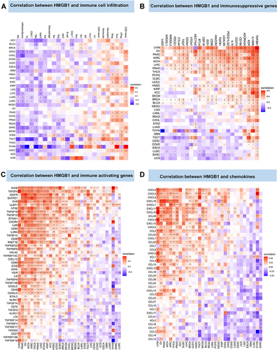 Figure 5 Correlation between HMGB1 expression and tumor immune infiltration. (A) Correlation between HMGB1 expression and immune cell infiltration by CIBERSORT method. (B) Correlation between HMGB1 expression and immunosuppressive genes. (C) Correlation between HMGB1 expression and immune-activation genes. (D) Correlation between HMG1B expression and chemokines. P > 0.05, < 0.05, < 0.01, < 0.001, and < 0.0001 were presented as “ns”, “*”, “**”, “***”, “****”, respectively.