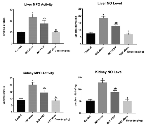 Figure 2. Influence of thymol on hepatic and renal MPO activity and NO level in indomethacin-treated rats. n = 8.Each bar represents mean ± SEM of 8 rats. ap < 0.05 versus control; bp < 0.05 versus IND alone; cp < 0.05 versus THY alone. IND: 5 mg/kg indomethacin; THY: 250 mg/kg thymol.