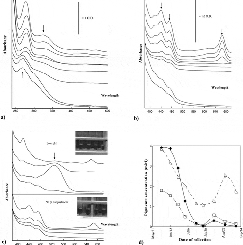 Figure 2. (a) UV scan of methanol extracts of Hilwa date fruit; (b) visible spectra of methanol extracts of Hilwa date fruit; (c) visible spectra of methanol extracts at different pH of Hilwa date; (d) quantitative estimation of pigments in Hilwa extracts