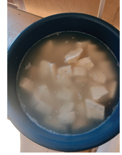 Plate 4. Soaked cassava.