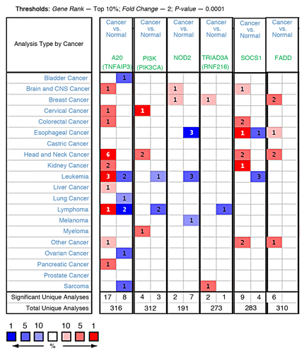 Figure 2. Analysis and visualization of A20, PI3K, NOD2, TRIAD3A, SOCS1 and FADD gene expressions in a spectrum of human cancers using Oncomine database. Each individual gene was analyzed separately for differential expression between cancers vs. normal by applying indicated thresholds and compiled together for visualization. Cell color is determined by the best gene rank percentile for the analyses within the cells. Red, upregulation; Blue, downregulation.