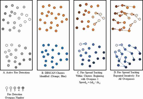 Figure 3. Illustration of the DBSCAN clustering and fire tracking approaches, with successive algorithm steps shown from left to right. Panel A shows two patches of MODIS fire pixels prior to clustering and tracking. Two fire clusters (orange and blue) are identified in panel B. MCD14ML detections from the first overpass are identified in each cluster in panel C the spread is “tracked,” assuming spread to the spread to the nearest (spatiotemporal) neighbour in subsequent overpasses. The spread tracking is repeated iteratively until no more neighbours are found within the spatiotemporal search radius.