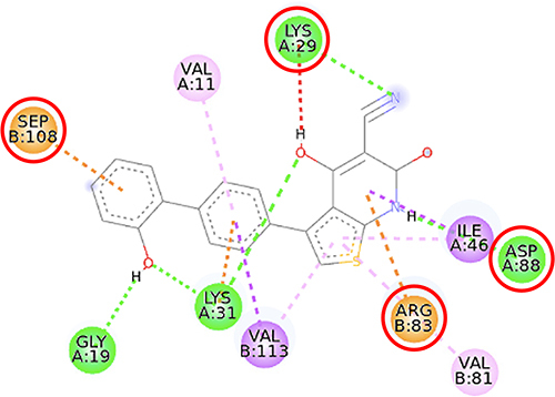 Figure 10 2D molecular interaction of A-769662 in the AMPK allosteric activator binding site (PDB ID 4CFF), visualized by employing the Discovery Studio Visualizer 4.0. Red circles indicate important amino acid residues (Lys29, Arg83, Asp88, and Ser108). Beta-sheets are shown in blue color, and the loops and turns are colored grey. Green dashed lines indicate hydrogen bonds. Pink dashed lines indicate pi-alkyl hydrophobic interaction. Orange dashed lines indicate pi–cation interaction.