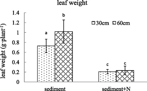 Figure 1. The leaf weight (mean ± SE) of V. spinulosa growing on different sediments at two water depths. Different small letters above columns indicate significant differences between treatments.