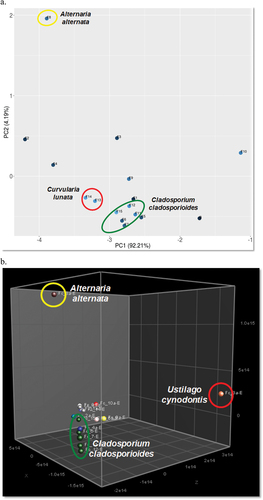 Figure 3. a. Biplot of PCA from the TLC (366 nm) of extracts of the 15 endophytic fungi isolated from Ficus carica using Hex:EtOAc (7:3) as mobile phase. b. PCA of the 1H NMR spectra of the extracts of the 15 endophytic fungi isolated from F. carica.