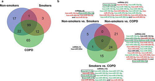 Figure 3. Venn diagram showing unique and common miRNAs in different groups and differentially expressed miRNA comparisons.(a) Venn diagram shown here represents miRNA with average read counts >5 reads per million used for comparison among non-smokers, smokers and patients with COPD. (b) The pairwise comparisons showing differences in the expression of miRNAs among the non-smokers, smokers, and patients with COPD analyzed using the linear contrast in the DESeq2 RNA-seq differential analysis method are summarized in the form of a Venn diagram. Directionality of the differentially expressed miRNAs across two different comparisons are indicated by green (up-regulation) and red (down-regulation) colouring, and those that did not show similar directionality were shown in black (non-smokers vs. COPD and smokers vs. COPD). Selected miRNA targets significantly increased in non-smokers vs. smokers, non-smokers vs. COPD and smokers vs. COPD from RNA-seq analyses which correlate with qPCR validation using in vitro BEAS-2B cells control vs. CSE treatment were highlighted in a box and bolded (see Figure 3(a)).
