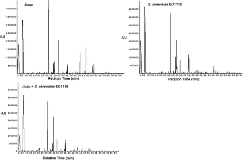 Figure 4. GC-MS chromatogram of different samples fermented by Jiuqu, EC1118 and Jiuqu + EC1118.Figura 4. Cromatograma GC-MS de diferentes muestras fermentadas por Jiuqu, EC1118 y Jiuqu + EC1118.