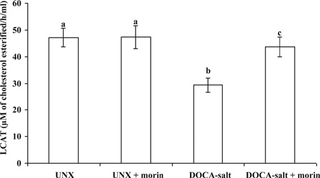 Figure 4. Effect of morin on the activity of LCAT in plasma of UNX and DOCA-salt hypertensive rats. Values are expressed as means ± SD for six rats in each group. Values not sharing a common superscript differ significantly at P < 0.05 (DMRT).