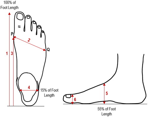 Figure 1. The six foot measurements calculated from each participant’s foot scan. 1 = Foot length; 2 = Foot width; 3 = Medial ball length; 4 = Heel width; 5 = Instep height; 6 = First toe height.