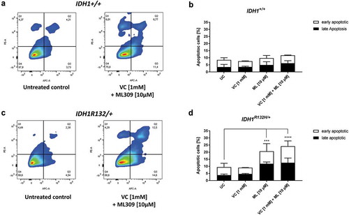 Figure 7. Measurement of apoptotic cells upon VC and ML309 incubation.(a, c) Representative contour plots of Annexin V/propidium iodide staining in cells treated for 48 h with combination of VC and ML309, as indicated. Q1 – gates for necrotic cells, Q2 – for late apoptosis, Q3 – for early apoptosis and Q4 – for healthy cells. (b, d) Quantitative representation of early and late apoptotic cells after treatment with VC, ML309 or combined with indicated concentrations. (error bars = SD; n = 3; Statistical significance of the treated groups to the untreated control was calculated using 2-way ANOVA and Tukey post-test: * = p < 0.05, ** = p < 0.01, *** = p < 0.001, **** = p < 0.0001).