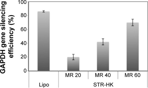Figure 10 Gene silencing efficiency in vitro.Notes: Silencing of GAPDH gene in PC-3 cells was evaluated by qRT-PCR. GAPDH siRNA concentration was 100 nM. Lipo was the positive control, and scrambled siRNA was used as the negative control. Results are expressed as mean ± standard deviation (n=3).Abbreviations: GAPDH, glyceraldehyde 3-phosphate dehydrogenase; qRT-PCR, quantitative real-time polymerase chain reaction; siRNA, small interfering RNA; Lipo, Lipofectamine 2000; MR, peptide/siRNA molar ratio.