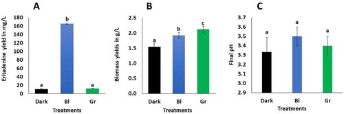 Figure 1. Eritadenine yields (A), biomass (B) and final pH (C) with the LED lights used during submerged cultures. Values are averages of ± DS (n = 3). Different letters above the bars show statistical differences at p < 0.05, according to ANOVA and Tukey tests. Bl is blue light; Gr is green light.