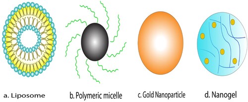 Figure 4. Various nanocarriers of different classes – 2a- Lipid based nanocarriers (Liposome), 2b- Polymer based nanocarriers (Polymeric micelle) 2c- Inorganic nanocarriers (Gold nanoparticle)-1479 with permission from Springer Nature - License no: 5010250744068).