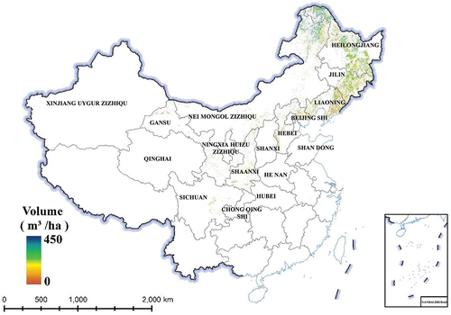 Figure 5. Larch stock map in China from Sentinel-2 data.