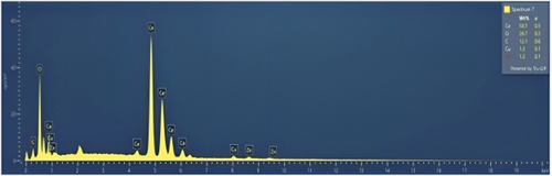 Figure 6. EDX images of synthesised Ce-Sil NPs.