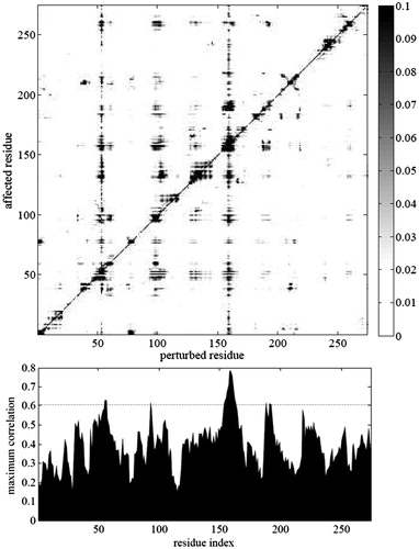 Figure 3. PRS map of the interconversion of TI-II/subtilisin complex to apo subtilisin. The displacements of the affected residues are displayed for the case which gives the best correlation for a given perturbed residue. Note that the displacements are on a relative scale, since PRS relies on linear response theory; i.e. if forces in a selected direction are modified by a factor r, then all displacements are also modified by the same factor r. Lower panel displays the relevant maximum Pearson correlation value for all residues. We select the residues that give the largest correlations as candidates controlling the conformational change.