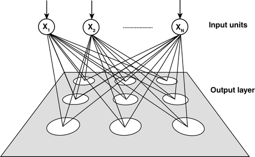 Figure 2 Architecture of a self-organising map neural network (modified from Kohonen Citation1982; Dowla & Rogers Citation1995). See text for explanation.