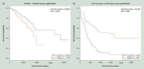 Figure 4.  Kaplan-Meier plots generated using MethSurv for previously published methylation-based prognostic markers. (A) KM plot for cg22374861-PTPRO using breast cancer samples dichotomized by mean methylation (cut-off = 0.17). (B) KM plot for cg08799922-C1R using acute myeloid leukemia samples dichotomized by maxstat method (cut-off = 0.35). (C) KM plot for cg18328206-RASSF5 using KIRC samples dichotomized by maxstat (cut-off = 0.07). (D) KM plot for cg06523224-BNC1 using KIRC samples dichotomized by maxstat (cut-off = 0.14). The X-axis denotes survival time in days, and the Y-axis indicates the probability of patient survival. The red and blue lines indicate higher (β > cut-off) and lower (β < cut-off) methylation patient groups, respectively, dichotomized according to best cut-off point in MethSurv.HR: Hazard ratio; KIRC: Kidney renal clear cell carcinoma; KM: Kaplan–Meier; LR: Log-likelihood ratio; Maxstat: Maximally selected rank statistics.