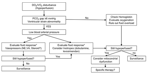 Figure 2 Algorithm for treating hypoperfusion in septic patients in the emergency department.