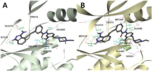 Figure 5. The binding mode of compound 5 in the kinase domain of (A) BCR-ABLWT and (B) BCR-ABLT315I. For clarity, only the major residues with hydrogen bonding and halogen interactions are shown. Compound 5 is shown in the stick model, and surrounding key interaction residues were shown in the line model. Hydrogen bonding and halogen interactions are shown in dashes green and sky blue, respectively. The number near the dashes indicates the bonding distance in Å.
