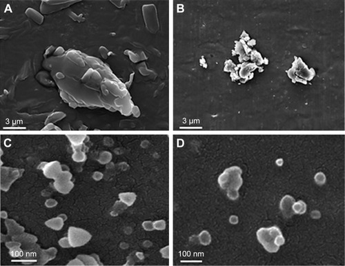 Figure 6 A scanning electron microscopy image of raw orlistat (A), NSP7 (B), SSPL9 (C), or SSPH6 (D).Abbreviations: SNEDDS, self-nanoemulsifying drug delivery system; SSPH, solid SNEDDS preconcentrate of a high melting temperature; SSPL, solid SNEDDS preconcentrate of a low melting temperature; NSP, non-SNEDDS preconcentrate.