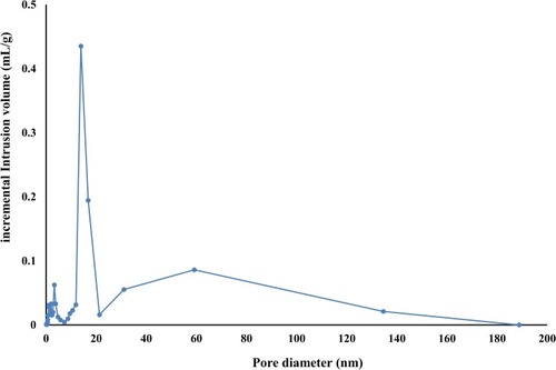 Figure 4 Pore size distribution of (GR/CHL)-loaded SXN4.