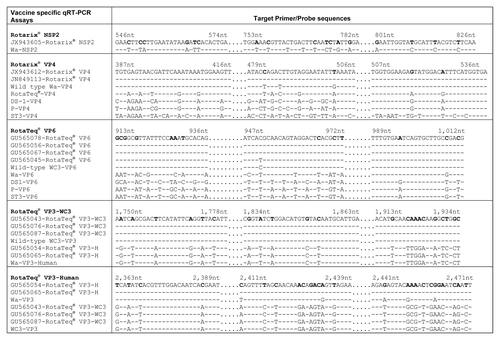 Figure 1. Alignment showing Rotarix® and RotaTeq® qRT-PCR Assay Target Regions. Each primer and probe target region is shown aligned with the corresponding region of non-target strains. Numbers are nucleotide coordinates refer to positions in sequence listed at the top of each group. Bold text indicates nucleotide substitutions incorporated into primer and probes sequences to provide assay specificity. A dash indicates a base identical to the aligned residue in the reference strain.