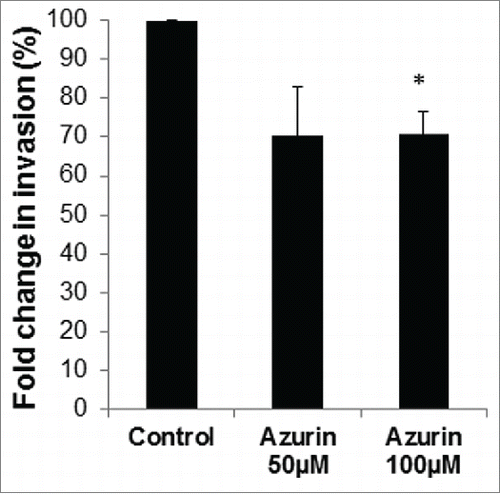 Figure 2. Azurin decreases invasion of A549 cells. Matrigel Invasion Assays showed that a single treatment with azurin 100 µM for 48 h significantly reduced the invasive behavior of breast cancer cells in Transwell assays (* p < 0.05).