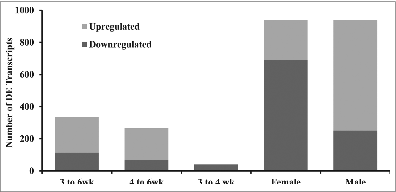 Figure 2. Summary of differentially expressed (DE) transcripts (q < 0.07) in chicken adipose tissue. Number of differentially expressed transcripts for female and male are across all ages. P value cutoffs for 3 to 6 wk, 4 to 6 wk, 3 to 4 wk, female, and male are 6.1E–4, 4.8E–4, 8.0E–5, 1.9E–3, and 1.9E–3 respectively.