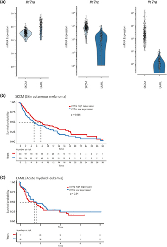 Figure 7. High IL-17RA expression correlates with increased survival probability in patients with skin cutaneous melanoma (SKCM) but not in patients with leukemia (LAML).