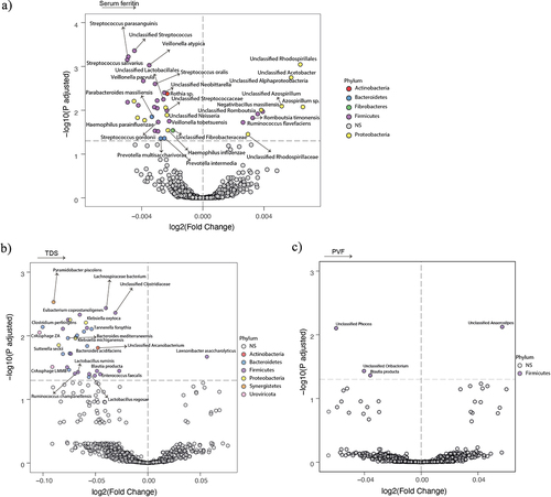 Figure 2. Association of the gut microbiota composition with serum ferritin and executive function in women. (a-c) Volcano plots of the gut microbiota associated (p adjusted < 0.05) with serum ferritin (a), TDS (b), and PVF (c) in women as calculated by ANCOM-BC from shotgun metagenomic sequencing, adjusting all three models for age and BMI; and for years of education in TDS, and PVF models. Only the microbial species associated with serum ferritin, TDS (b) and serum ferritin, and PVF (c) are shown. The log2 fold change of the association with a unit change in the ANCOM-BC-transformed variable values and the log10 p values adjusted for multiple comparisons using a sequential goodness of fit were plotted for each taxon. Significantly different taxa are colored according to phylum. TDS, total digit span; PVF, phonemic verbal fluency; BMI, body mass index.