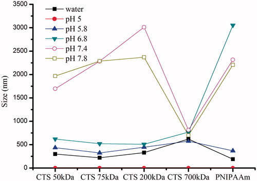 Figure 5. Effect of CTS Mw on the pH-dependent size changes of CTS-g-PNIPAAm nanogels.