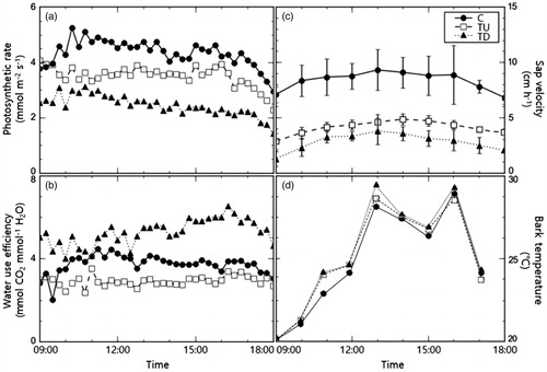 Figure 4. Changes in the physiological responses of Zelkova serrata with different transpiration inhibition treatments. Variables recorded were (a) photosynthetic rate, (b) water use efficiency (WUE), (c) sap velocity, and (d) bark temperature.